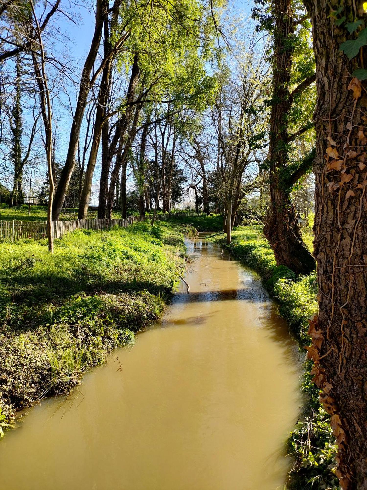 La Chamade En Beaujolais Bed & Breakfast Анс Екстериор снимка